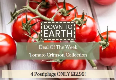 Dobbies Garden Centre catalogue in Salisbury | Down To Earth- | 2026-03-18T00:00:00.000Z - 2026-03-23T00:00:00.000Z