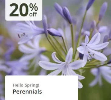 Crocus catalogue in Ellesmere Port | `20% Off` | 2026-04-03T00:00:00.000Z - 2026-04-20T00:00:00.000Z