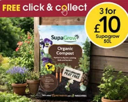 Wilko catalogue | Free Click & Collect | 2026-04-21T00:00:00.000Z - 2026-05-07T00:00:00.000Z