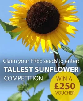 Thompson & Morgan catalogue in Shipton Bellinger | Talleest Sunflower | 2026-04-27T00:00:00.000Z - 2026-05-11T00:00:00.000Z