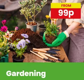 Poundstretcher catalogue | From 99p | 2026-06-01T00:00:00.000Z - 2026-06-22T00:00:00.000Z