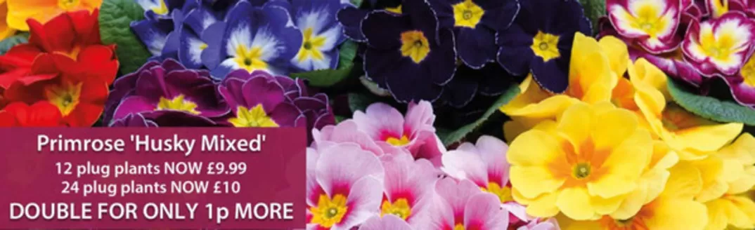 Thompson & Morgan catalogue in Bugbrooke | Duble For Only 1p More | 2026-08-12T00:00:00.000Z - 2026-08-25T00:00:00.000Z