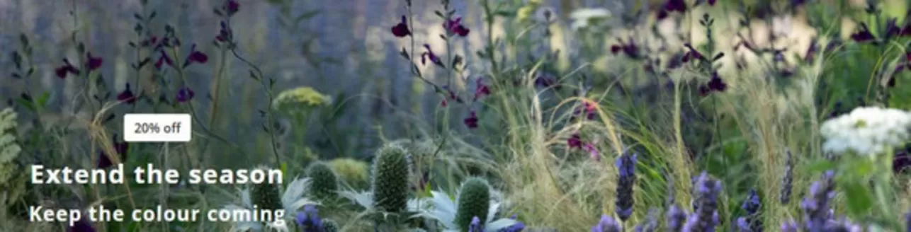 Crocus catalogue in Frome | Extend The Season | 2026-09-02T00:00:00.000Z - 2026-09-19T00:00:00.000Z