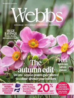 Webbs catalogue | The Autumn Edit  | 2026-09-02T00:00:00.000Z - 2026-09-30T00:00:00.000Z