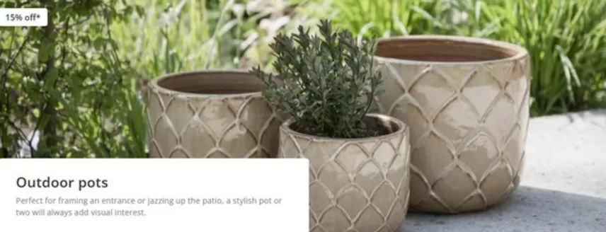 Crocus catalogue in Smethwick | Outdoor Pots | 2026-10-13T00:00:00.000Z - 2026-11-03T00:00:00.000Z