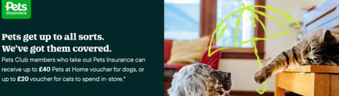 Pets at Home catalogue | Pets get up to all sorts. We've got them covered. | 2026-10-26T00:00:00.000Z - 2026-11-05T00:00:00.000Z