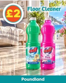 Poundland catalogue in Mountain Ash | Flloe Cleaner | 2026-10-27T00:00:00.000Z - 2026-11-16T00:00:00.000Z