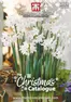 Thompson & Morgan catalogue | Christmas Catalogue | 2025-09-30T00:00:00.000Z - 2025-12-31T00:00:00.000Z