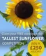 Thompson & Morgan catalogue in Shipton Bellinger | Talleest Sunflower | 2026-04-27T00:00:00.000Z - 2026-05-11T00:00:00.000Z