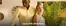 House of Fraser catalogue in Seaton Delaval | Up To 70% Off Holiday | 2026-06-03T00:00:00.000Z - 2026-06-22T00:00:00.000Z