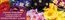 Thompson & Morgan catalogue in Bugbrooke | Duble For Only 1p More | 2026-08-12T00:00:00.000Z - 2026-08-25T00:00:00.000Z