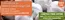Dobbies Garden Centre catalogue | Limites Time Offer | 2026-08-12T00:00:00.000Z - 2026-08-21T00:00:00.000Z