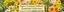 Dobbies Garden Centre catalogue in Whitefield | Super Sceted Daffodil Jonquilla Collection | 2026-08-20T00:00:00.000Z - 2026-09-08T00:00:00.000Z