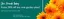 Squires Garden Centres catalogue | Enjoy 20% Off Any One Garden Plant  | 2026-09-02T00:00:00.000Z - 2026-10-13T00:00:00.000Z