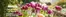 Crocus catalogue in Smethwick | The Promise Of Spring | 2026-10-13T00:00:00.000Z - 2026-10-31T00:00:00.000Z
