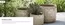 Crocus catalogue in Smethwick | Outdoor Pots | 2026-10-13T00:00:00.000Z - 2026-11-03T00:00:00.000Z