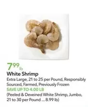 Frozen - White Shrimp