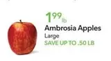 Ambrosia Apples