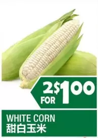 WHITE CORN