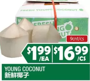 YOUNG COCONUT
