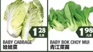 BABY CABBAGE or BABY BOK CHOY MUI