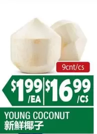 YOUNG COCONUT