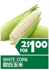 WHITE CORN