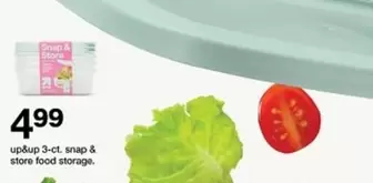 3-ct. snap & store food storage