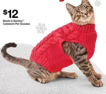 Pet  - Cable Knit Sweater