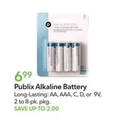 Alkaline Battery