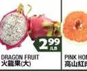DRAGON FRUIT