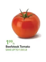 Beefsteak Tomato