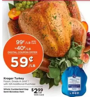 Frozen - Turkey