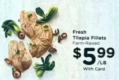 Fresh Tilapia Fillets