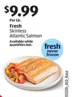 Frozen - Fresh Skinless Atlantic Salmon
