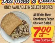 all - All White Meat Cranberry Pecan Chicken Salad