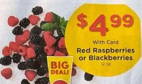 Red Raspberries or Blackberries