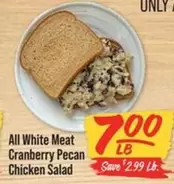 all - All White Meat Cranberry Pecan Chicken Salad