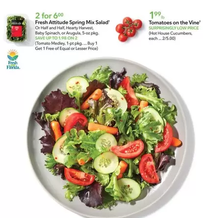 Harvest   - Fresh Attitude Spring Mix Salad