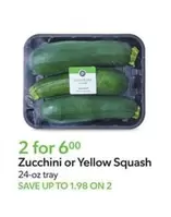 Zucchini or Yellow Squash