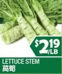 LETTUCE STEM