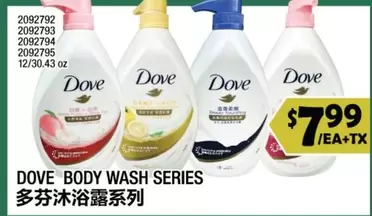 Dove - BODY WASH SERIES