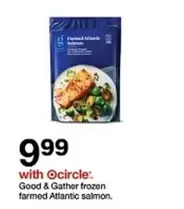 Frozen - Good & Gather frozen farmed Atlantic salmon