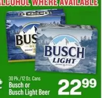 busch light - Busch or Busch Light Beer