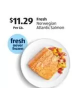 Frozen - Fresh Norwegian Atlantic Salmon
