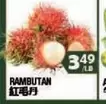 RAMBUTAN