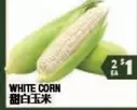 WHITE CORN