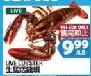 LIVE LOBSTER