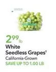 White Seedless Grapes