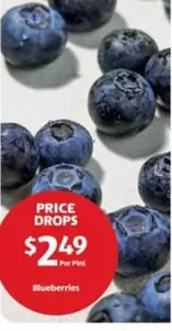 Blueberries